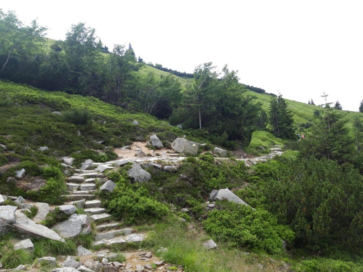 Zielone Wzgorze 2 * Jelenia Góra