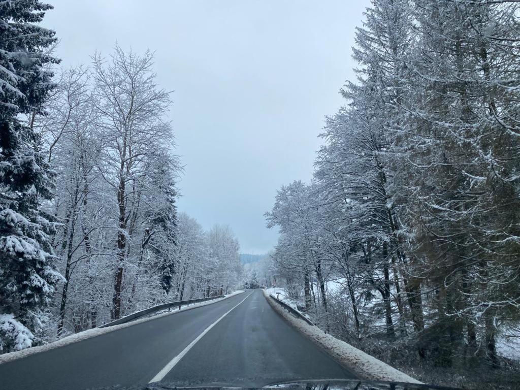 Zielone Wzgorze 2 * Jelenia Góra