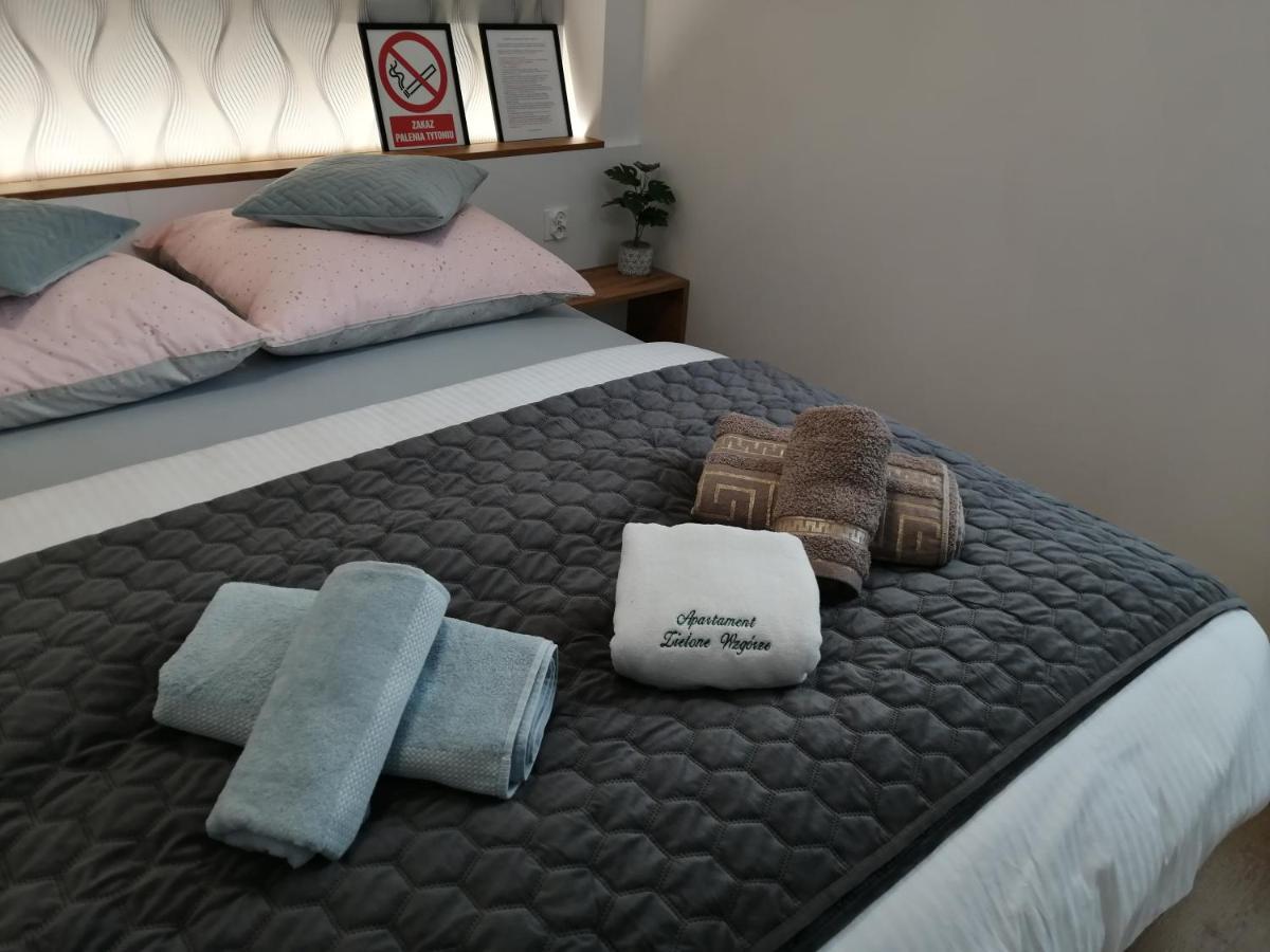 Apartment Zielone Wzgorze 2 *